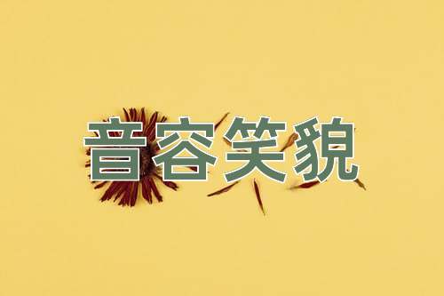 成语音容笑貌