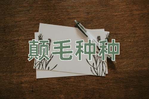 成语颠毛种种