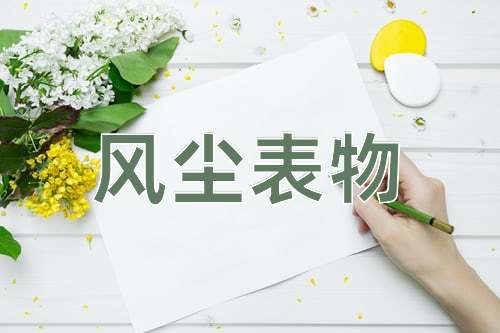 成语风尘表物