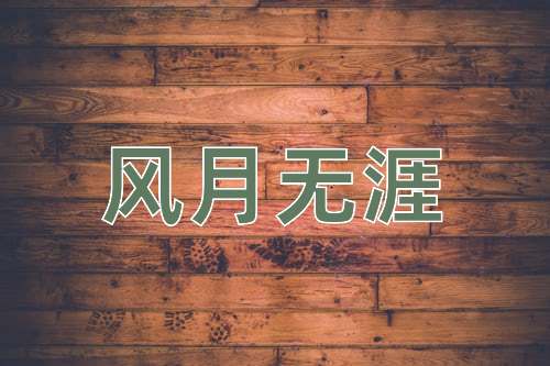 成语风月无涯