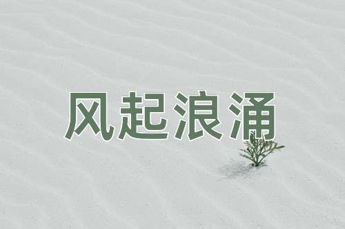 成语风起浪涌