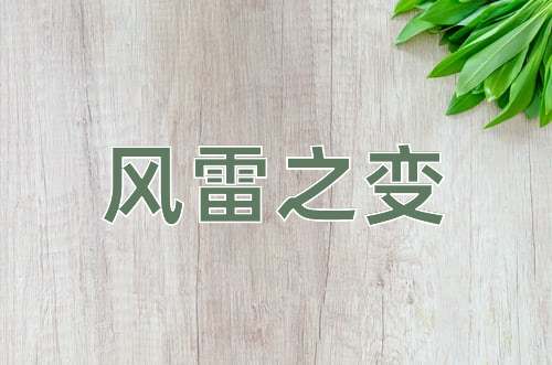 成语风雷之变