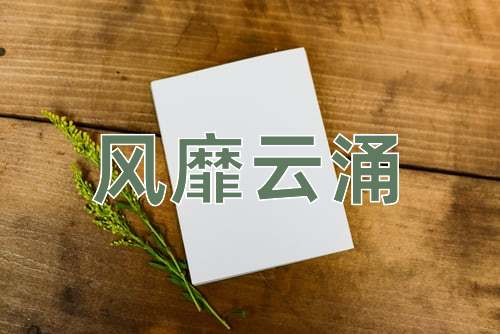 成语风靡云涌