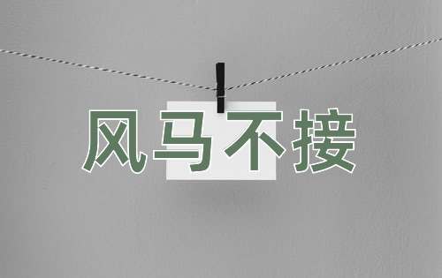 成语风马不接