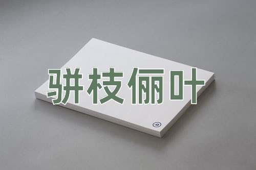 成语骈枝俪叶