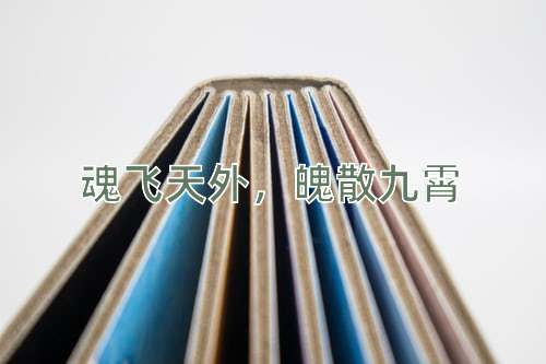 成语魂飞天外，魄散九霄