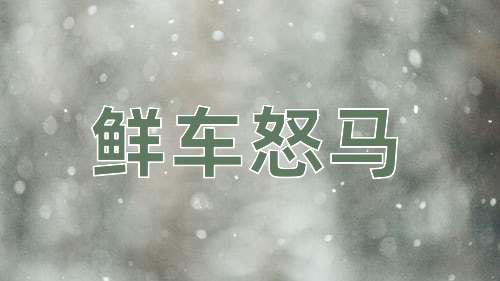 成语鲜车怒马