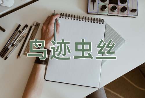 成语鸟迹虫丝