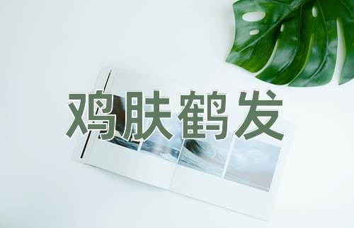 成语鸡肤鹤发