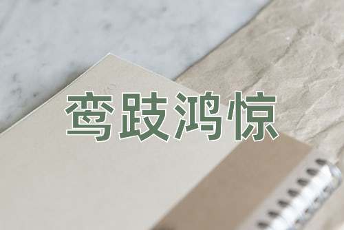 成语鸾跂鸿惊