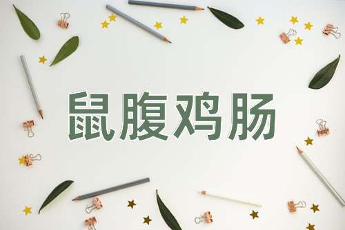 成语鼠腹鸡肠