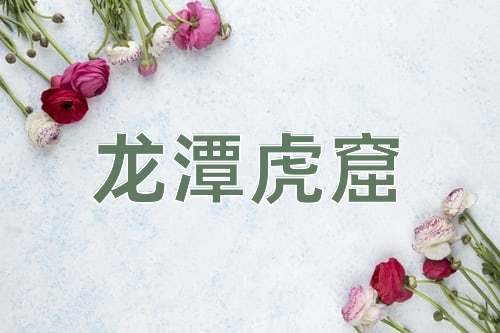 成语龙潭虎窟