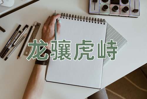 成语龙骧虎峙
