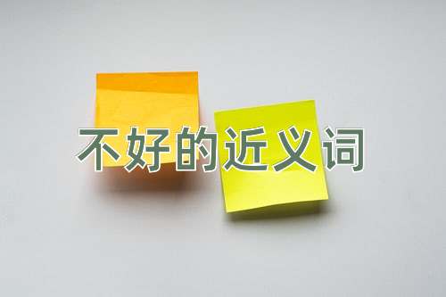 不好的近义词