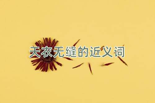 天衣无缝的近义词