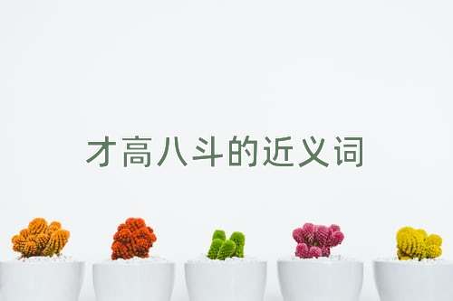 才高八斗的近义词