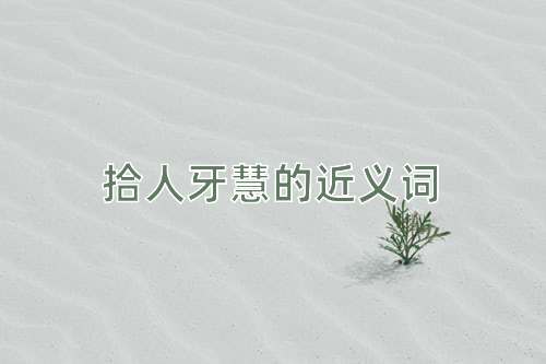 拾人牙慧的近义词