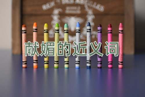 献媚的近义词