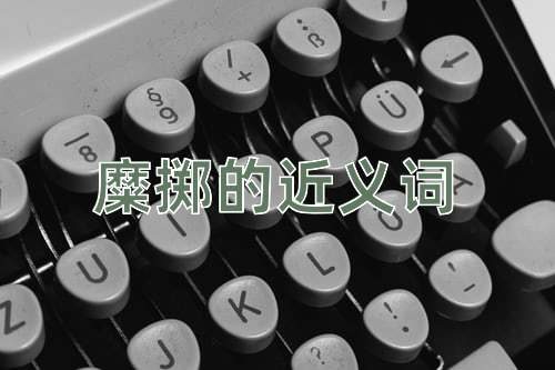 糜掷的近义词