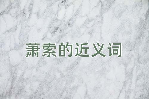 萧索的近义词
