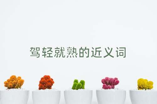 驾轻就熟的近义词