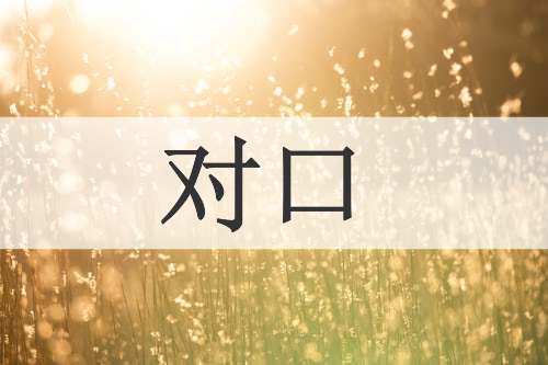 对口