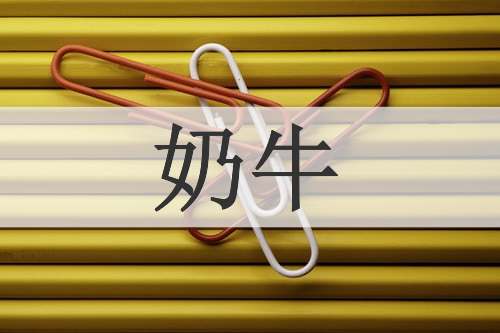 奶牛