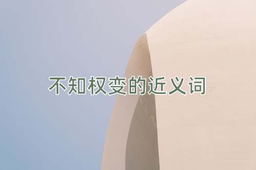 不知权变的近义词