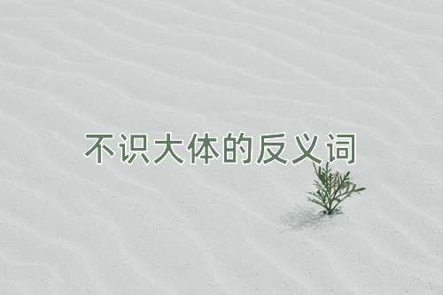 不识大体的反义词