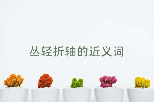 丛轻折轴的近义词