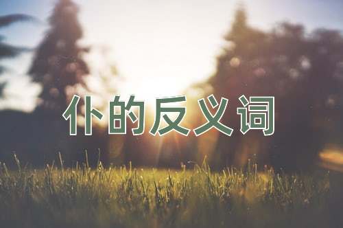 仆的反义词