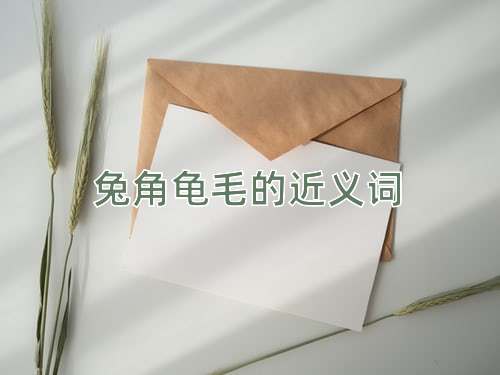 兔角龟毛的近义词