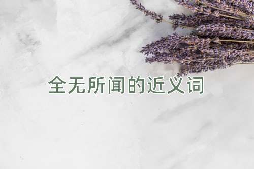 全无所闻的近义词