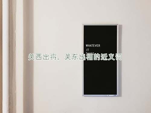 关西出将，关东出相的近义词
