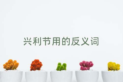 兴利节用的反义词