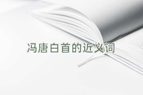 冯唐白首的近义词