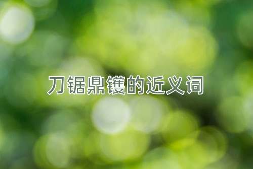 刀锯鼎镬的近义词