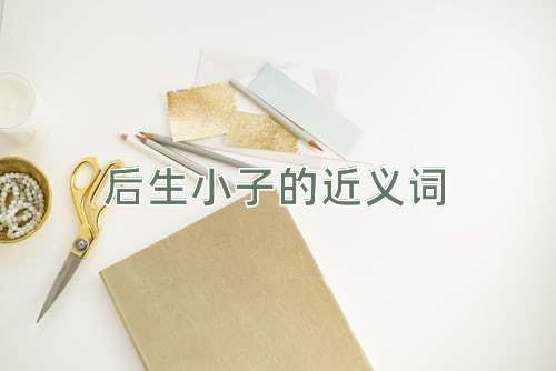 后生小子的近义词