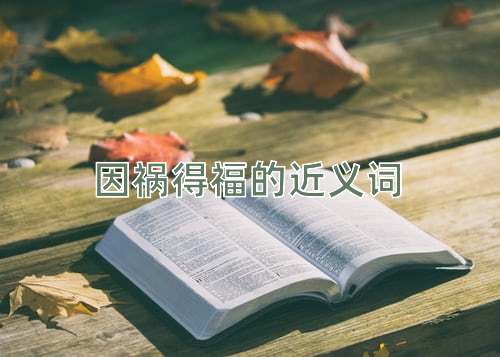 因祸得福的近义词