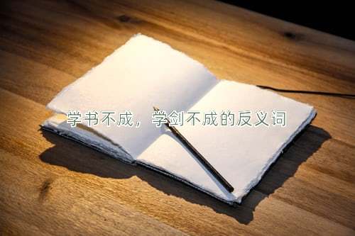 学书不成，学剑不成的反义词