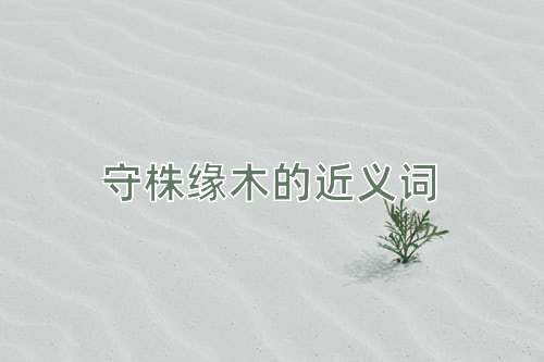 守株缘木的近义词