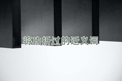 将功折过的近义词