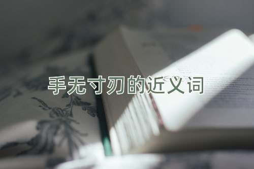 手无寸刃的近义词