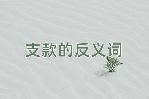 支款的反义词