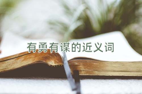 有勇有谋的近义词