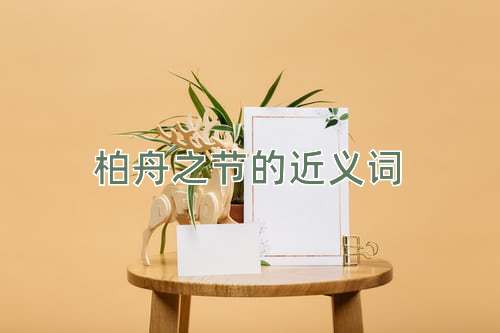 柏舟之节的近义词