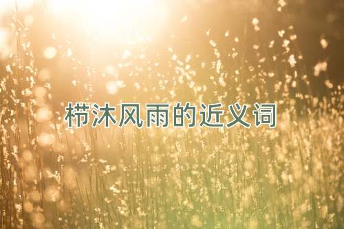 栉沐风雨的近义词