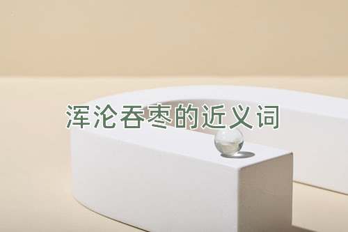 浑沦吞枣的近义词