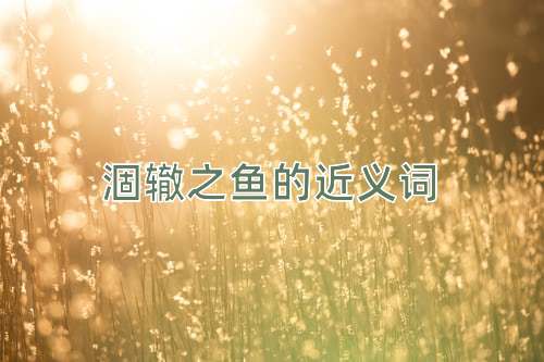 涸辙之鱼的近义词
