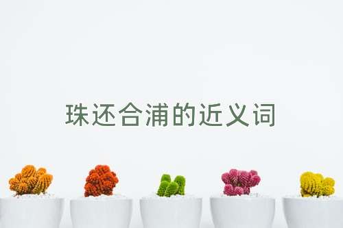 珠还合浦的近义词